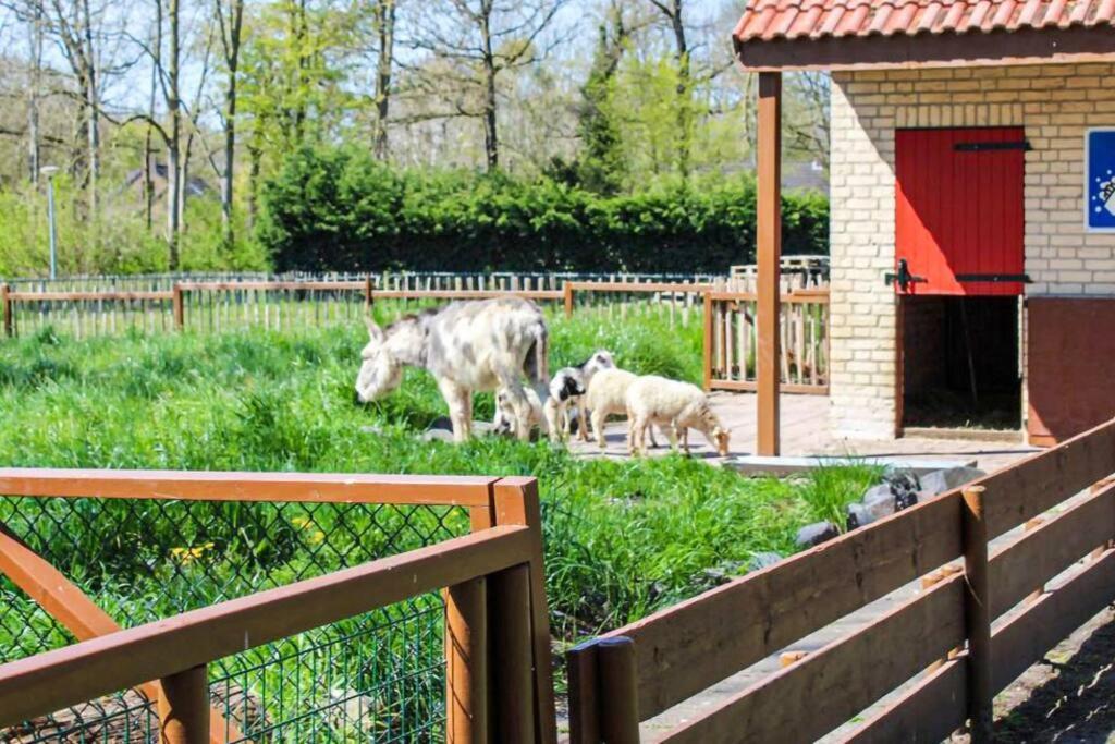 Tof Wellness Huis, Alles Nieuw, Gelegen Bij Meer. Ewijk Zewnętrze zdjęcie
